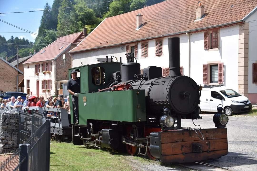 Le Nid Du Calice Villa Abreschviller Buitenkant foto