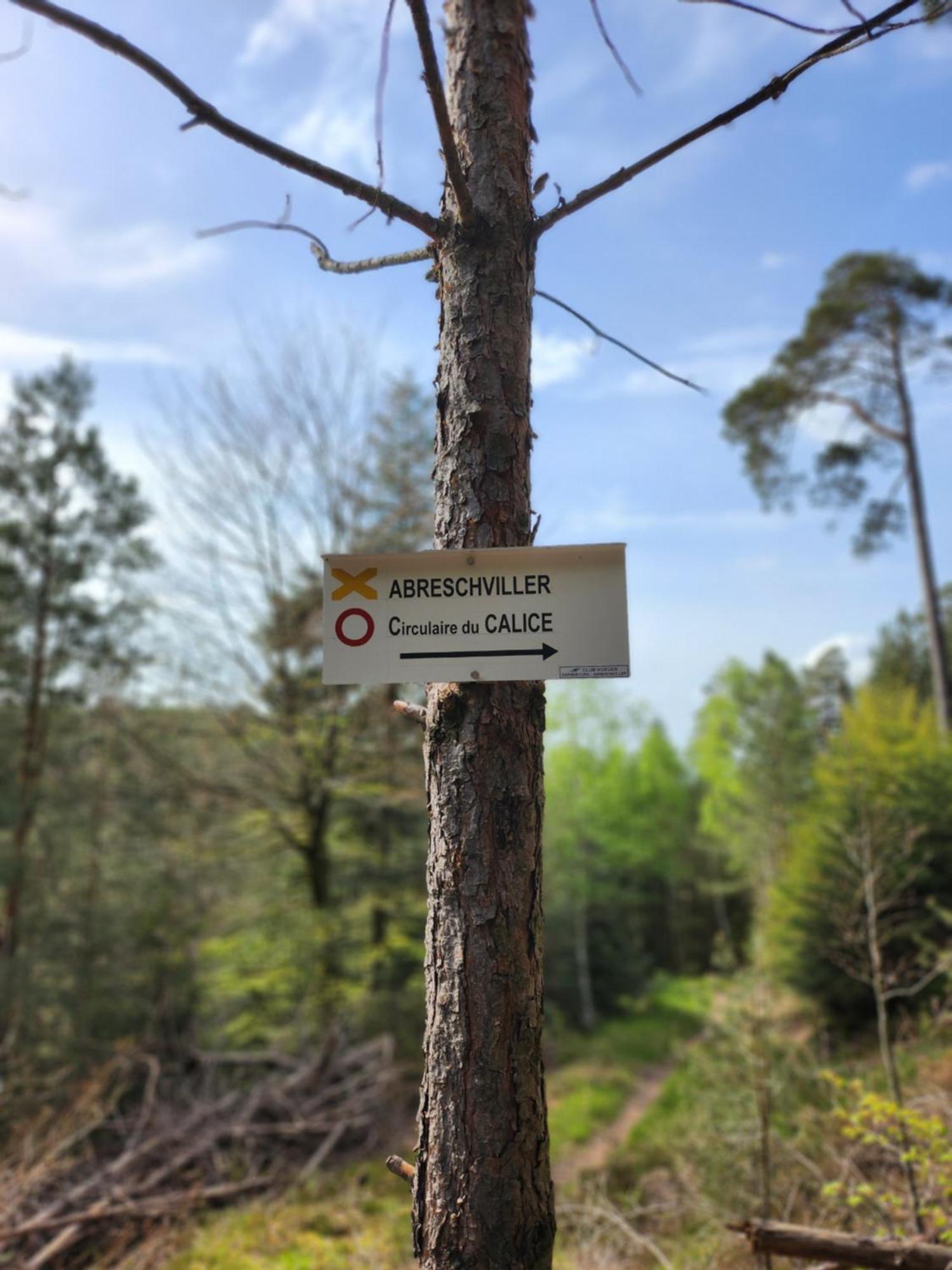 Le Nid Du Calice Villa Abreschviller Buitenkant foto